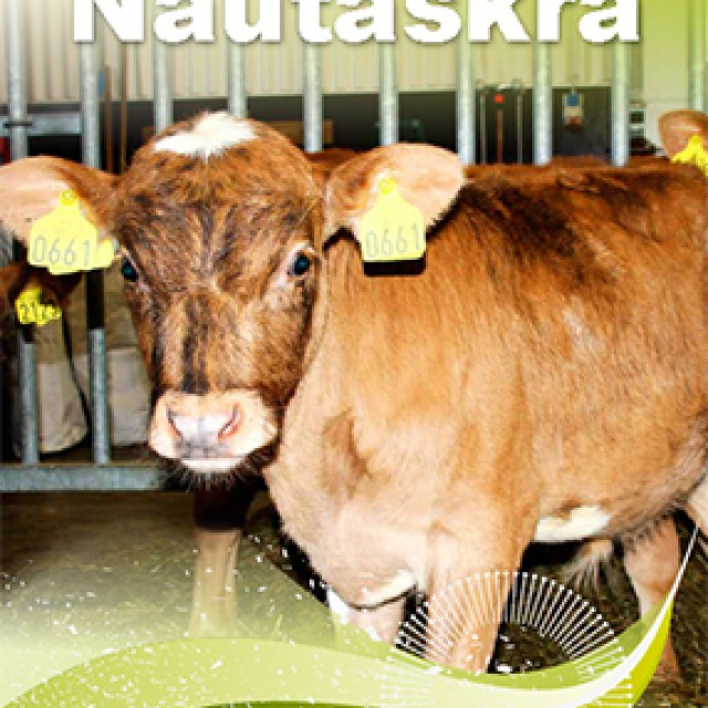 Nautaskrá veturinn 2016 komin út