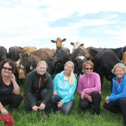 Norskir ráðunautar heimsóttu RML