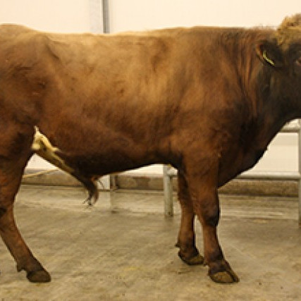 Ver 14009 frá Ytri-Skógum