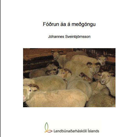 Nýtt rit LbhÍ: Fóðrun áa á meðgöngu