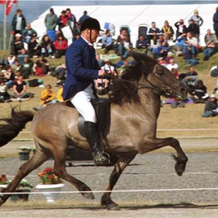 Röst frá Torfunesi