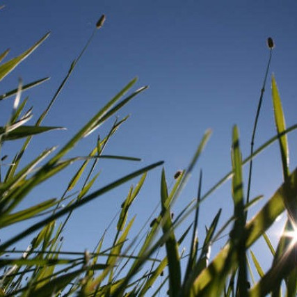 Umsóknarfrestur vegna jarðabóta er til 10. sept. nk.