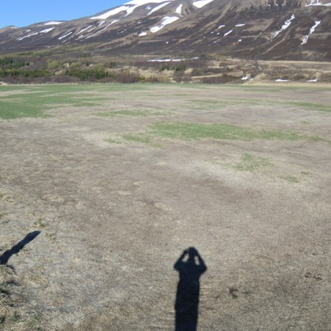 Kalskemmdir á bænum Veisu í Fnjóskadal vorið 2011