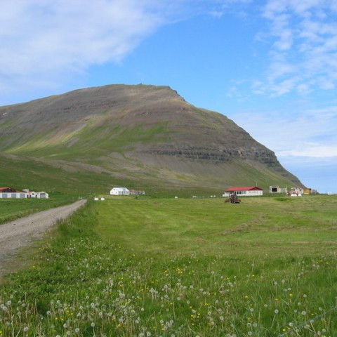 Skráningarblöð í dráttarvélina