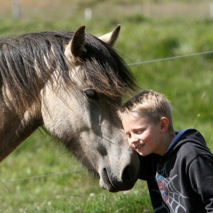 Íslensk hrossarækt í 100 ár - Stefnumótun hrossaræktarinnar