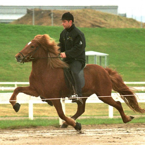 Síðasti skráningardagur er í dag!