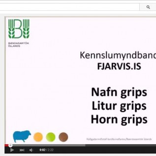 Leiðbeiningamyndbönd - FJARVIS.IS