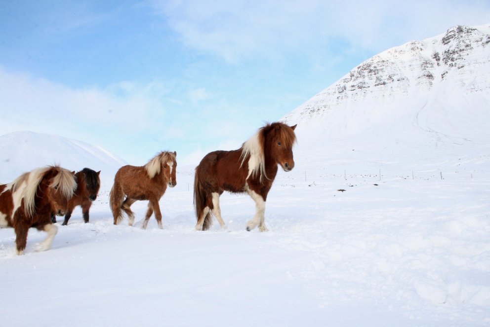 Vegna veðurs - viðbragðshópur