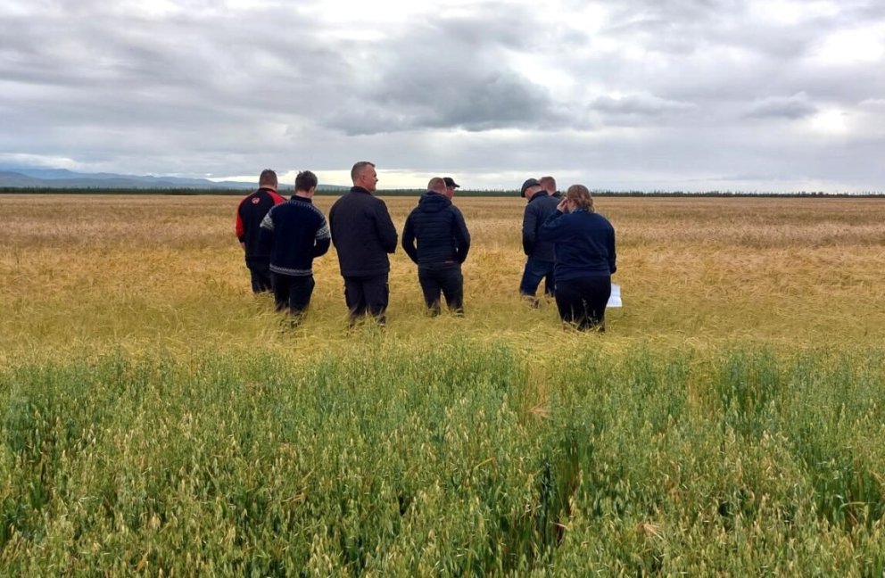 Síðasti skráningardagur í Bændahópa er 15. janúar