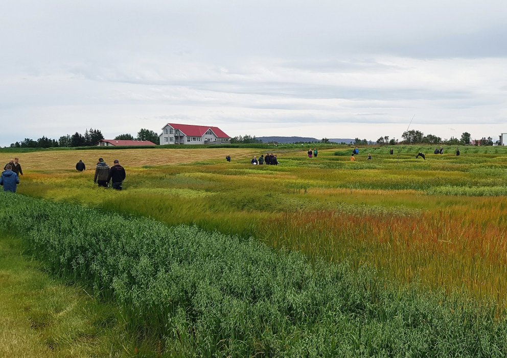 Sáðvörulisti 2025