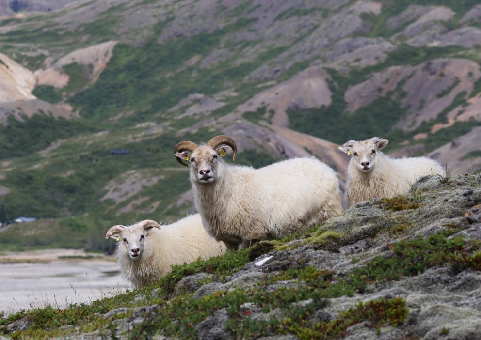 Prentun á vor- og haustbókum - verðbreyting