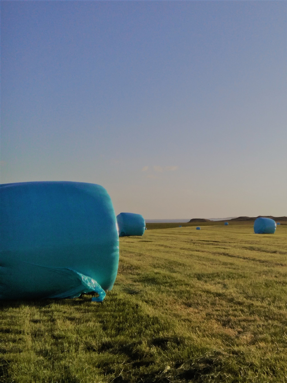 Minnkun losunar gróðurhúsalofttegunda frá landbúnaði - Þátttökubú