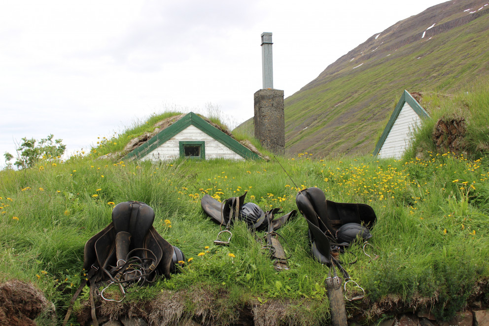 Röðun hrossa á kynbótasýningu á Selfossi 22.-24. ágúst