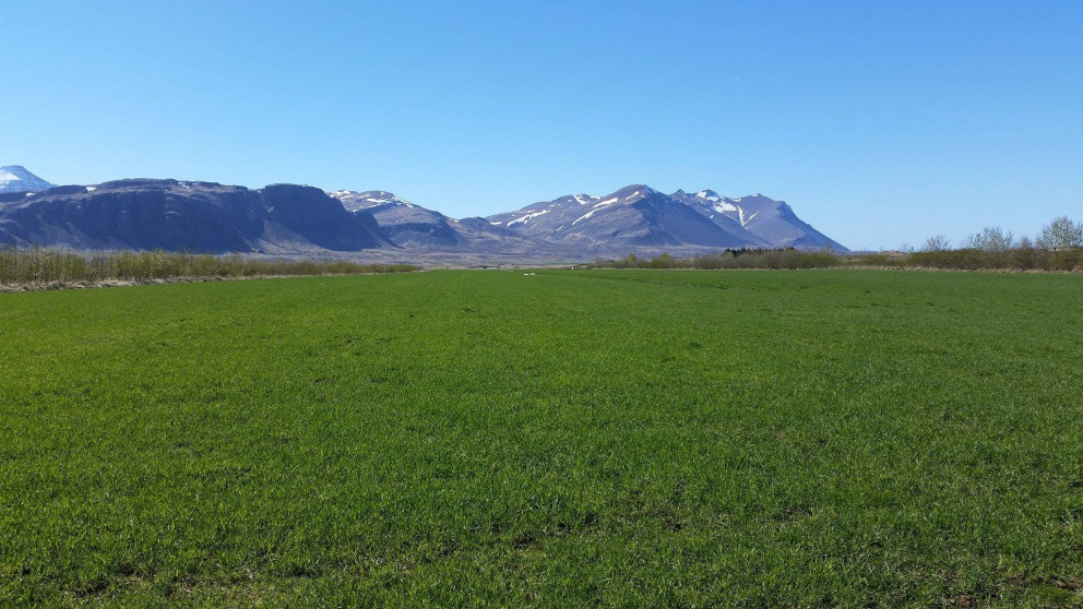 Skýrsluhald í jarðrækt er nú forsenda jarðræktarstyrkja og landgreiðslna