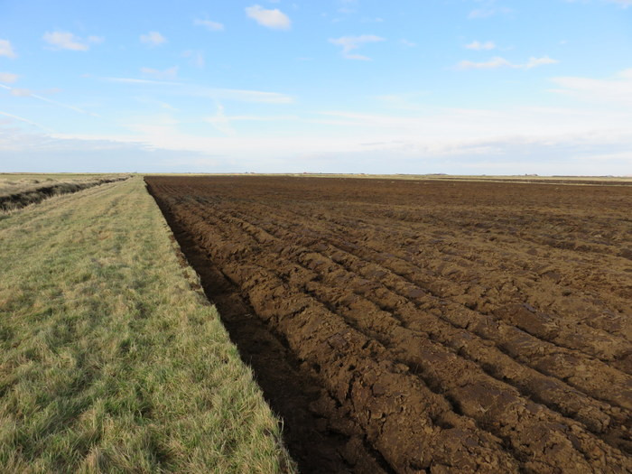 SPROTINN jarðræktarráðgjöf