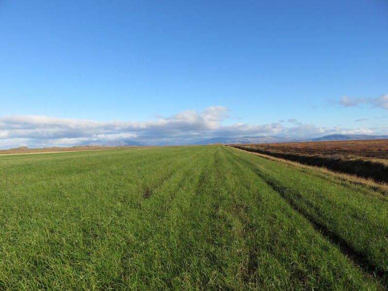 Verð og framboð á sáðvöru 2018