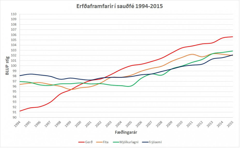 Kynbótamat sauðfjár 2018
