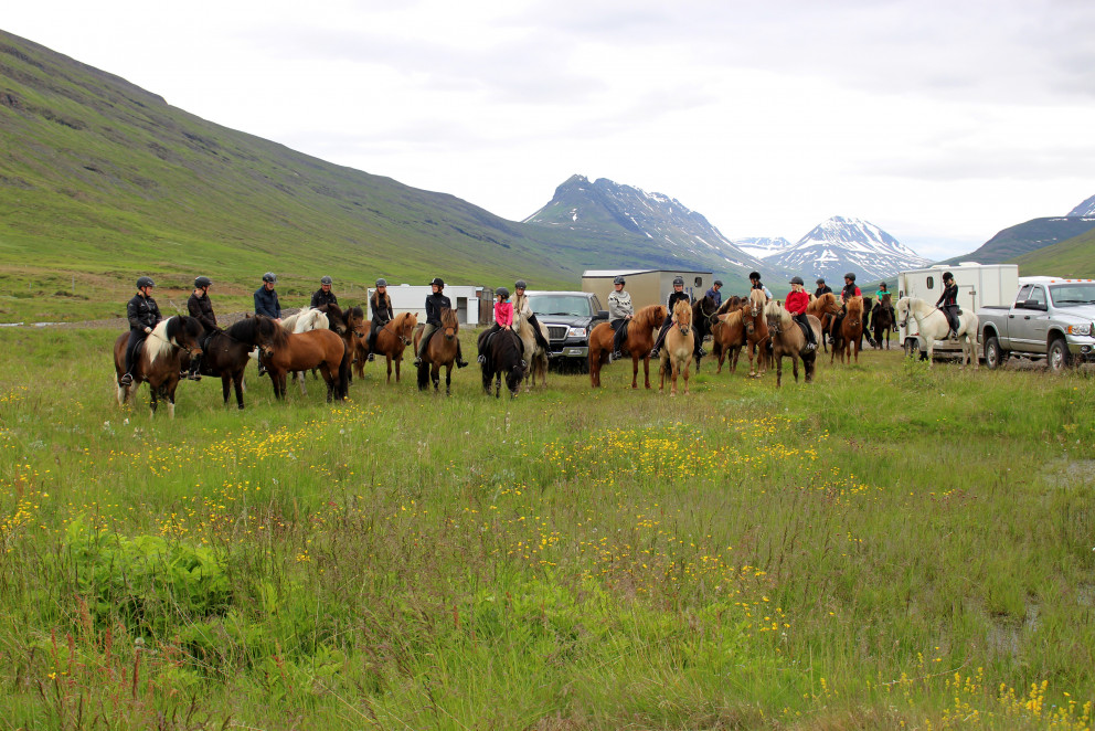 Yfirlit á Selfossi 1. júní