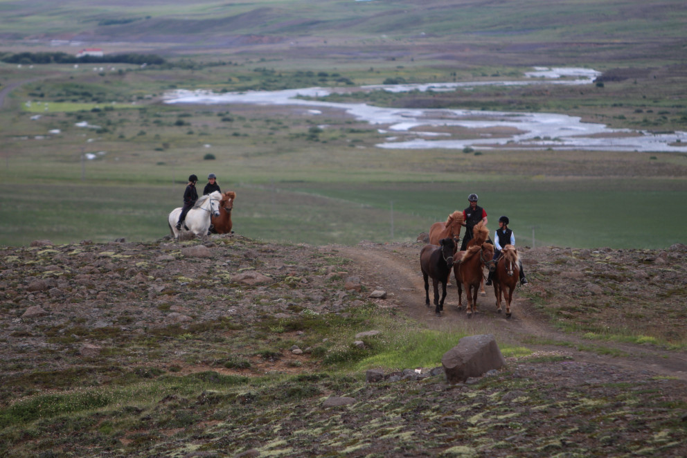 Opnað fyrir skráningar á miðsumarssýningar