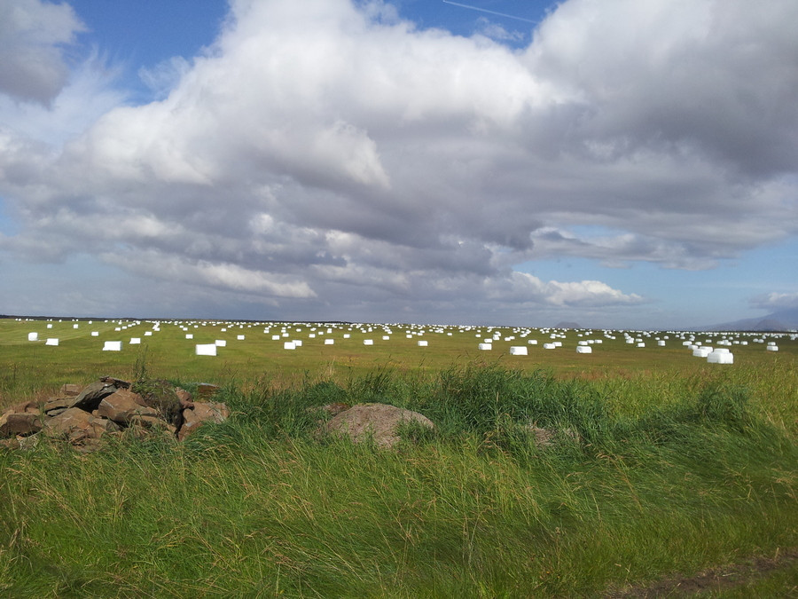 Breyttar forsendur fyrir útflutningi á heyi til Noregs