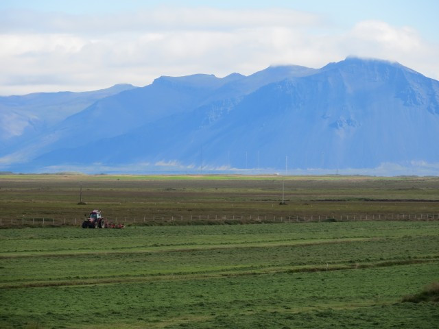 Gríptu boltann - Átaksverkefni RML og Framleiðnisjóðs landbúnaðarins