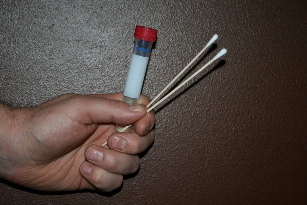 DNA-sýnatökur/Reykjavík og nágrenni