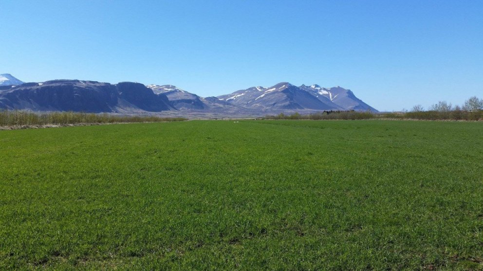 Skýrsluhald í jarðrækt er forsenda jarðræktarstyrkja og landgreiðslna