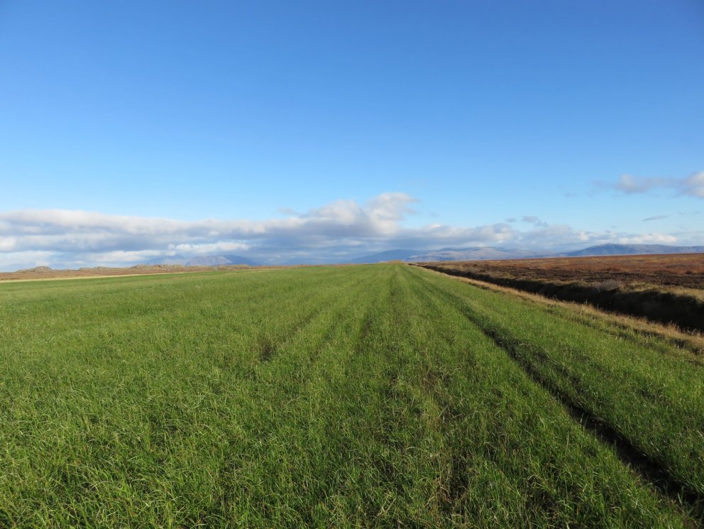 Niðurstöður heyefnagreininga haustið 2019