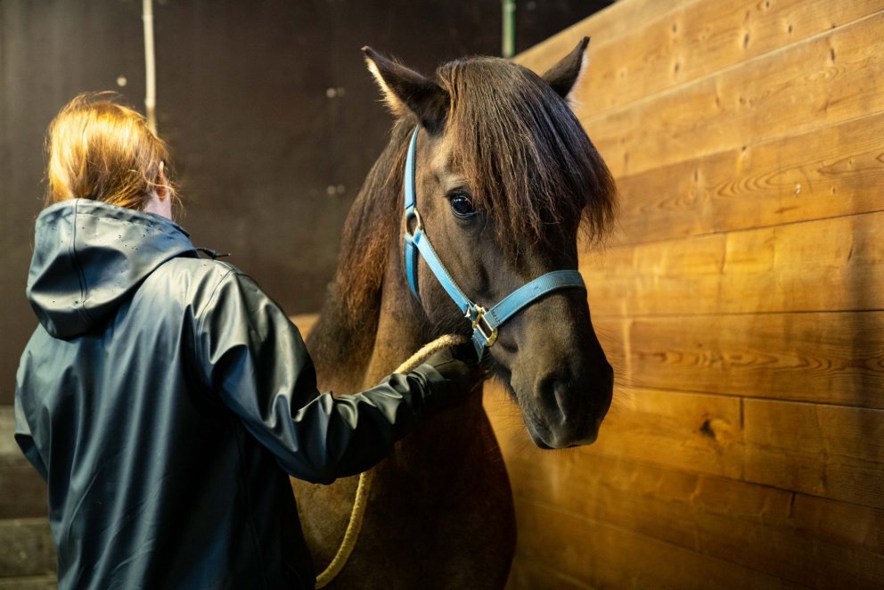Hrossaræktarfundir - fundarferð um landið