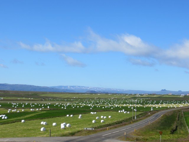 Tökum hey- og jarðvegssýni