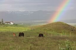 Uppfærðar leiðbeiningar RML og BÍ til bænda vegna Covid 19