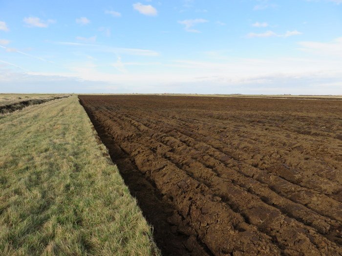 Sprotinn – jarðræktarráðgjöf