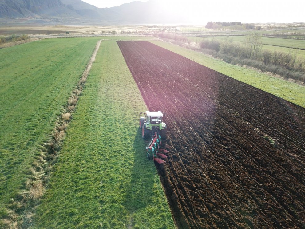 Plæging spildu á Hvanneyri. Mynd: Elínborg Bessadóttir