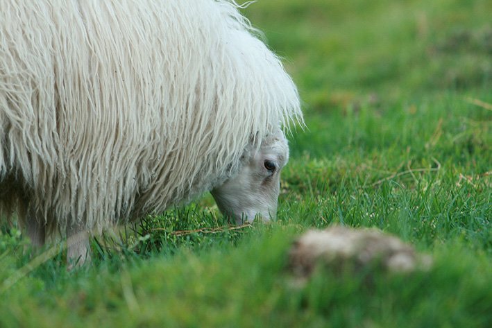 Aðstoð við að kortleggja möguleg rannsóknasvæði