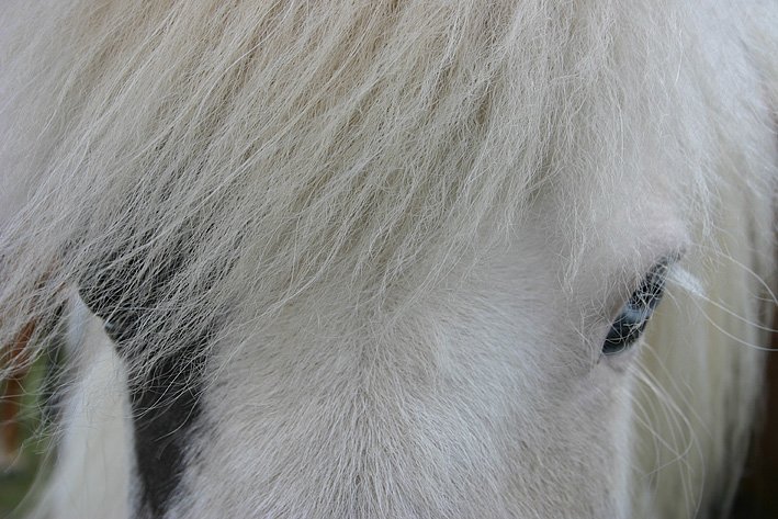 Hollaröðun fyrir dagana 14.-18. júní - Hella og Hafnarfjörður