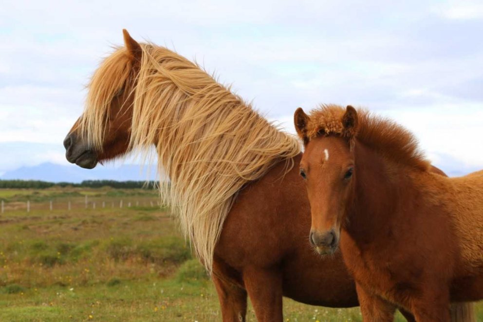 Yfirlit á Stekkhólma 23. ágúst