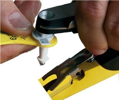 Erfðamengisúrval: 77% kúabúa pantað DNA-merki