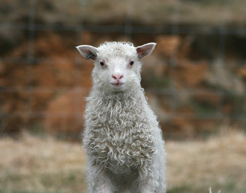 Ítrekun vegna útsendinga á vorbókum 2023