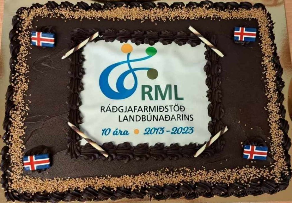 RML 10 ára - Afmæliskaffi á starfsstöðinni á Höfðabakka 9 í Reykjavík