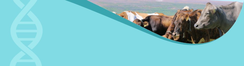 Minnum á fagfund nautgriparæktarinnar 11. apríl