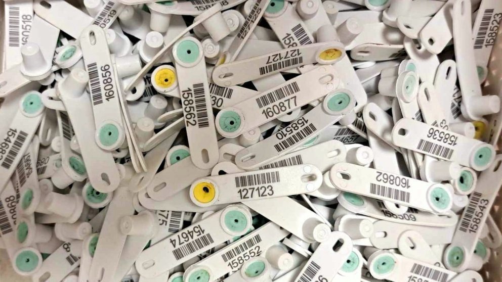 Sauðfjárbændur athugið – Flögg í haustbók