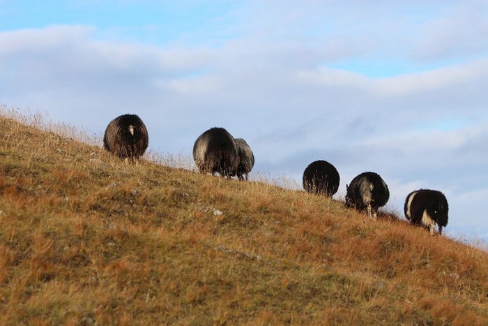 Nú er tími haustskýrslna!