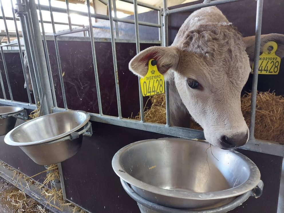 Ráðunautar RML fóru á samræmingarráðstefnu Norðurlandanna í byggingum og bútækni