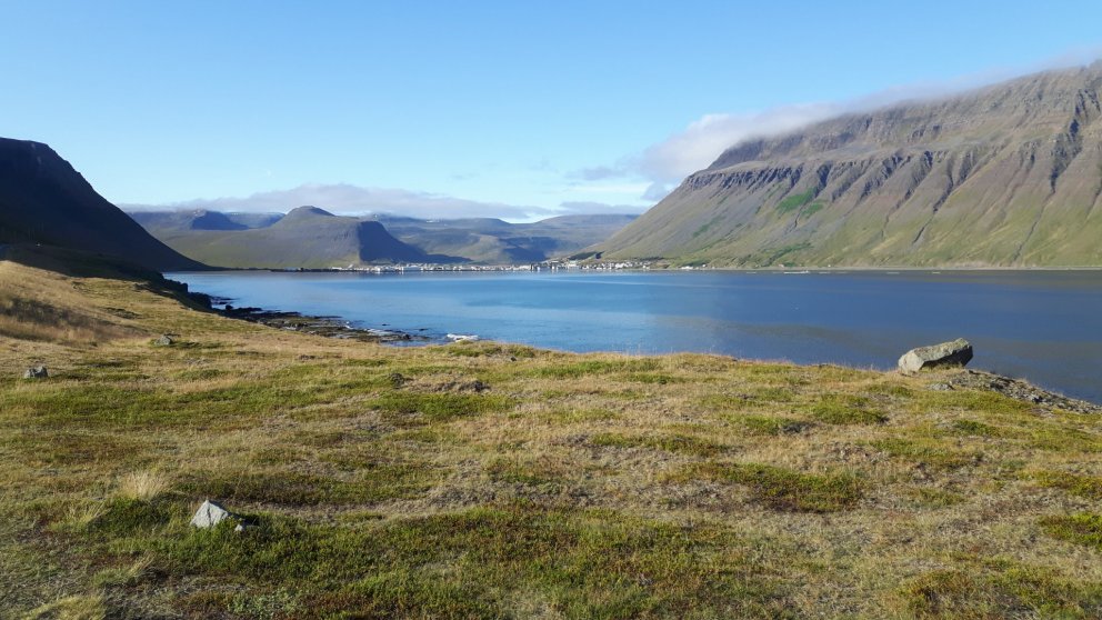 Innlausnarvirði greiðslumarks 2019