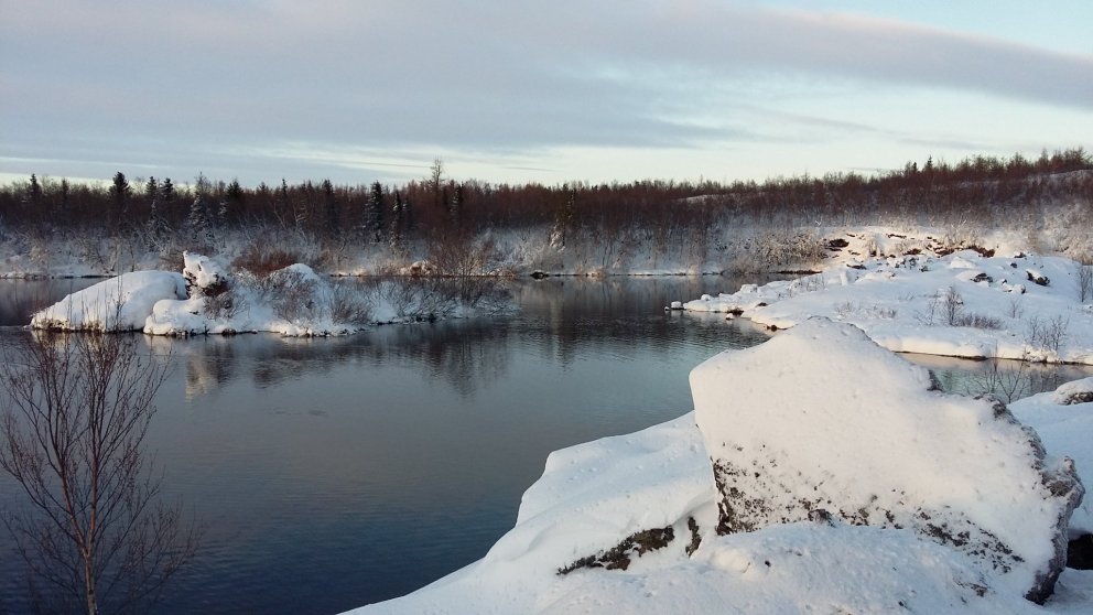 Opnunartími um jól og áramót og viðvera á skrifstofum RML
