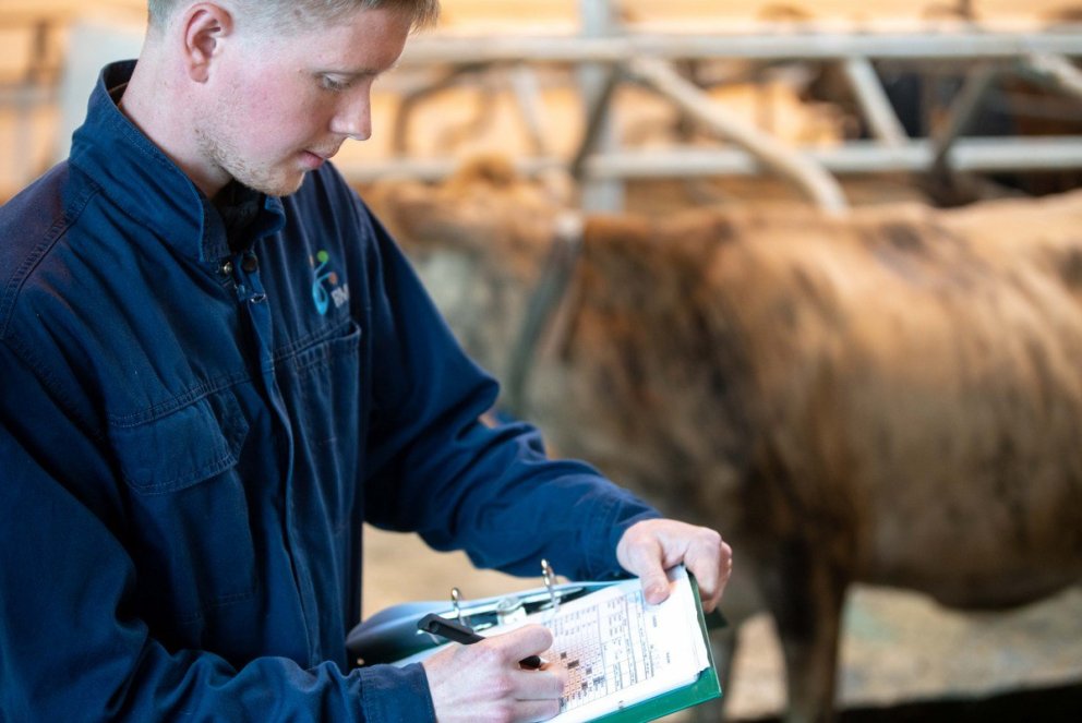 Fjárfestingastuðningur – umsóknarfrestur