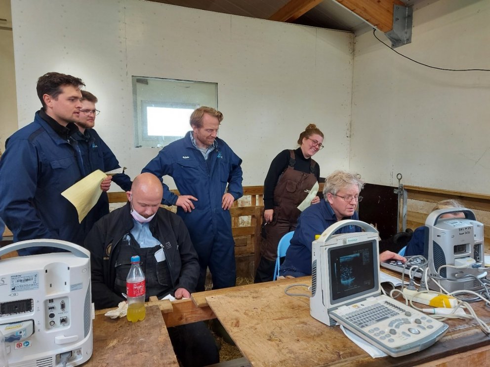 Sauðfjárdómarar funda