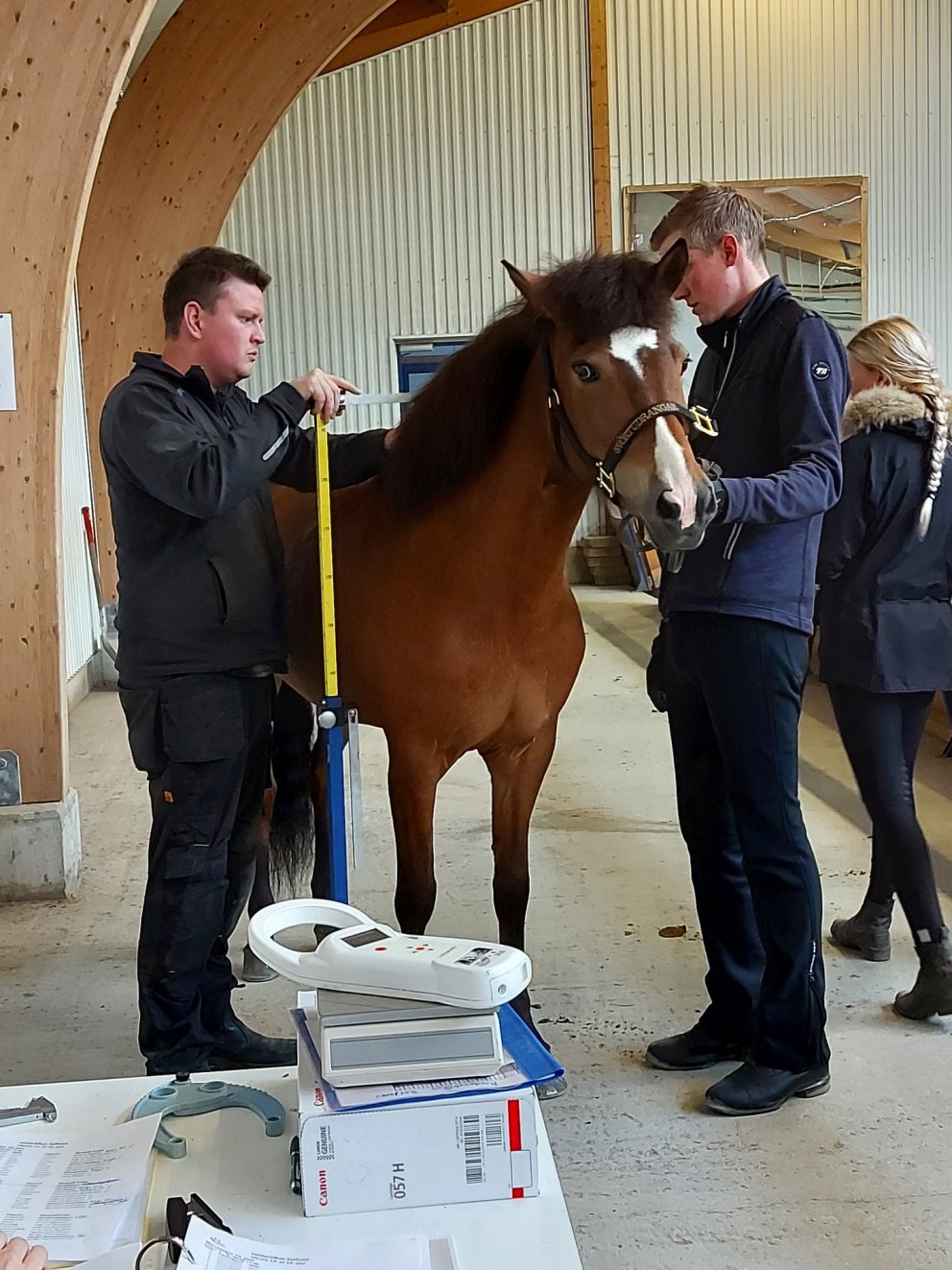 Síðsumarssýning Fljótsdalshéraði 22 og 23. ágúst