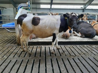 Myndin tengist efni fréttarinnar ekki á neinn hátt.