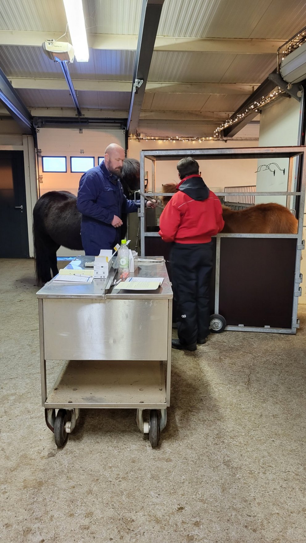 Bæst hefur í hóp örmerkingamanna